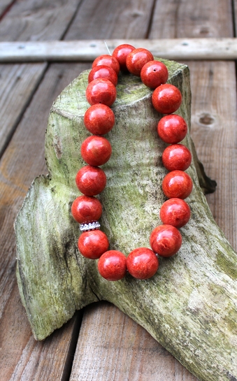 Rote Schaumkoralle Engstingen